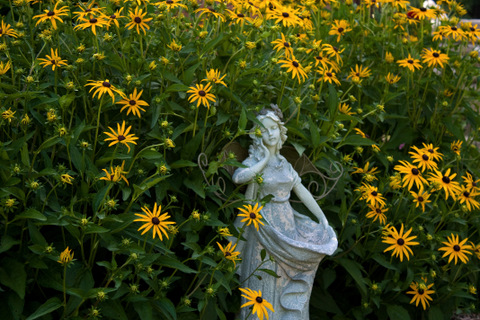 Garden statue surrounded by yellow flowers