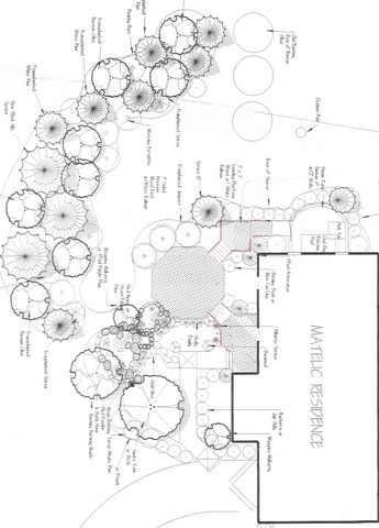 Hand-drawn landscape plan for a residential design