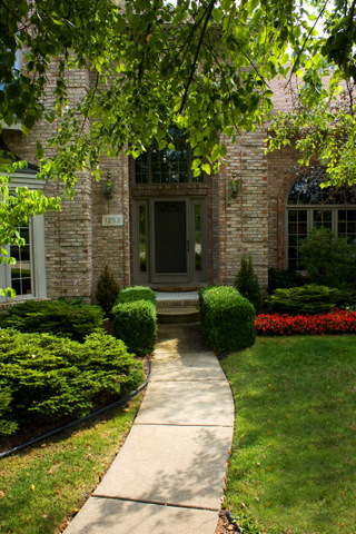 Curved entry walk framed by clipped shrubs and trees